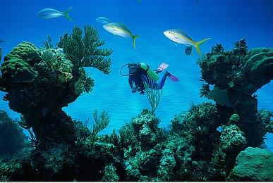 黑神话悟空方经营范围变更 新增游戏开发